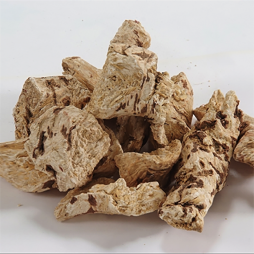 Kabuksuz Çöven Kökü